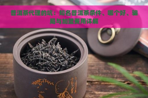 普洱茶代理的坑：知名普洱茶条件、哪个好、骗局与加盟费用详解