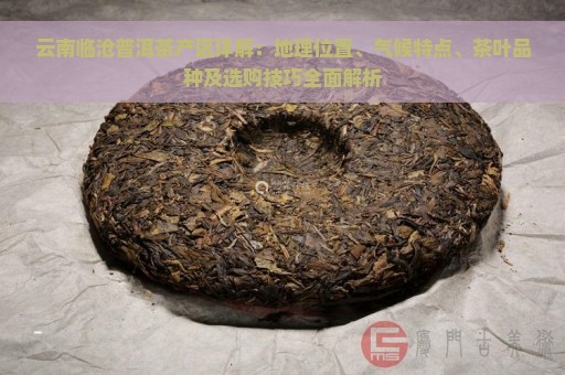 云南临沧普洱茶产区详解：地理位置、气候特点、茶叶品种及选购技巧全面解析