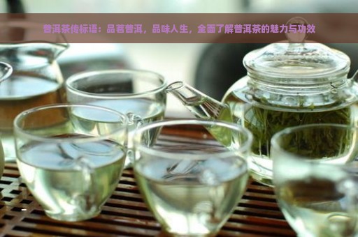 普洱茶传标语：品茗普洱，品味人生，全面了解普洱茶的魅力与功效