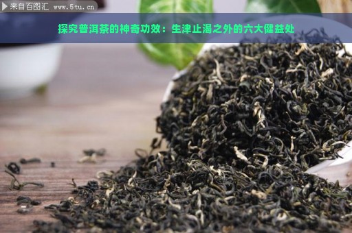 探究普洱茶的神奇功效：生津止渴之外的六大健益处