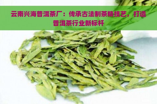 云南兴海普洱茶厂：传承古法制茶精技艺，打造普洱茶行业新标杆