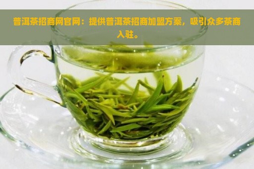 普洱茶招商网官网：提供普洱茶招商加盟方案，吸引众多茶商入驻。