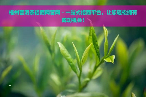 梧州普洱茶招商网官网 - 一站式招商平台，让您轻松拥有成功机会！