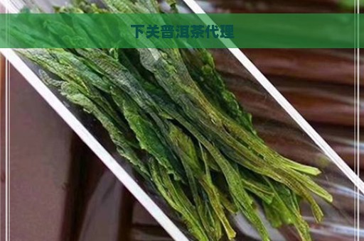 下关普洱茶代理