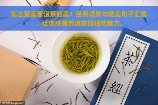 怎么赞美普洱茶的美？经典语录与精美句子汇集，让你感受普洱茶的独特魅力。