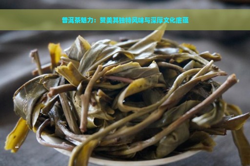 普洱茶魅力：赞美其独特风味与深厚文化底蕴