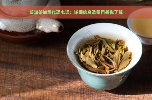 普洱茶加盟代理电话：详细信息及费用等你了解