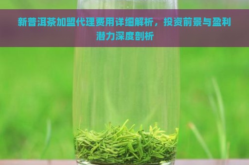 新普洱茶加盟代理费用详细解析，投资前景与盈利潜力深度剖析