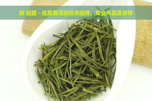 新 加盟 - 优质普洱茶投资选择，专业与品质并存