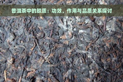 普洱茶中的胶质：功效、作用与品质关系探讨