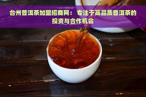 台州普洱茶加盟招商网： 专注于高品质普洱茶的投资与合作机会