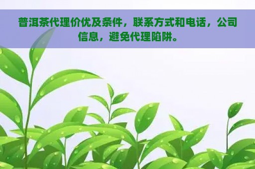 普洱茶代理价优及条件，联系方式和电话，公司信息，避免代理陷阱。