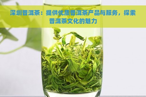 深圳普洱茶：提供优质普洱茶产品与服务，探索普洱茶文化的魅力