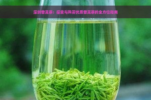 深圳普洱茶：探索与购买优质普洱茶的全方位指南