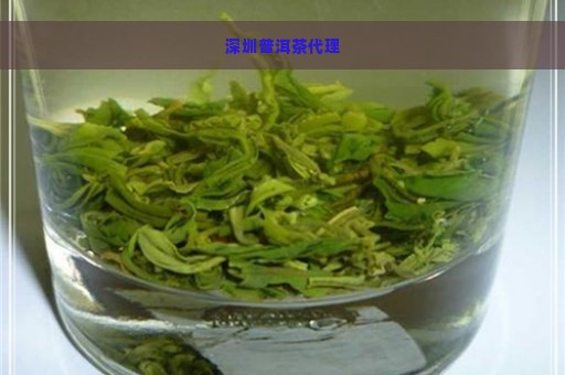 深圳普洱茶代理