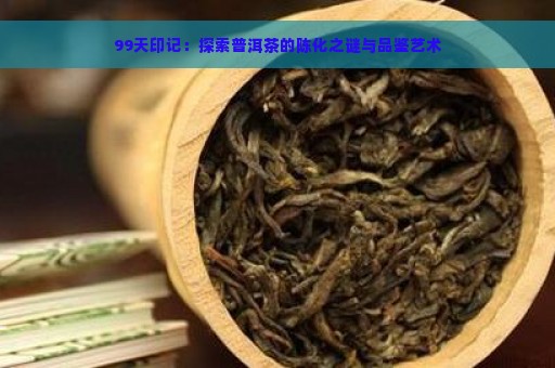 99天印记：探索普洱茶的陈化之谜与品鉴艺术