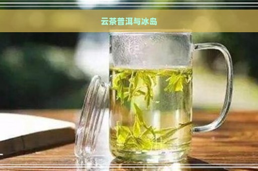 云茶普洱与冰岛