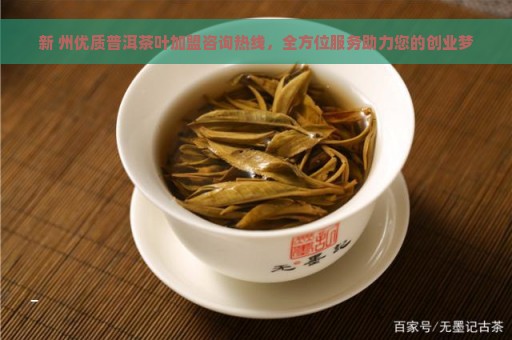 新 州优质普洱茶叶加盟咨询热线，全方位服务助力您的创业梦