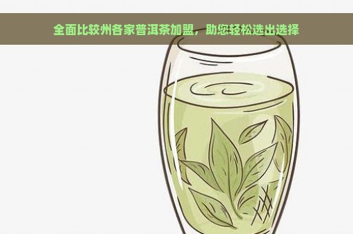 全面比较州各家普洱茶加盟，助您轻松选出选择