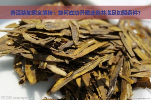 普洱茶加盟全解析：如何成功开展业务并满足加盟条件？