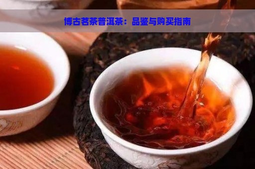 博古茗茶普洱茶：品鉴与购买指南