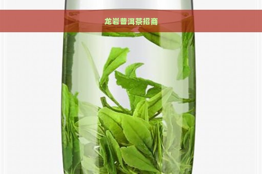 龙岩普洱茶招商