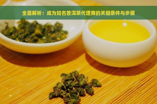 全面解析：成为知名普洱茶代理商的关键条件与步骤