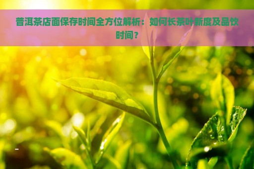 普洱茶店面保存时间全方位解析：如何长茶叶新度及品饮时间？