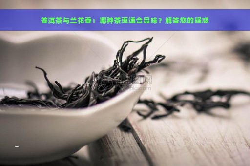 普洱茶与兰花香：哪种茶更适合品味？解答您的疑惑