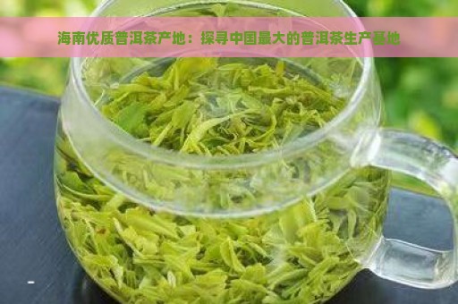 海南优质普洱茶产地：探寻中国最大的普洱茶生产基地