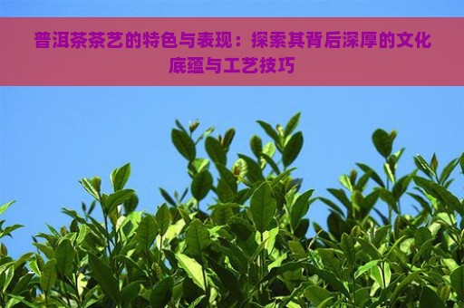 普洱茶茶艺的特色与表现：探索其背后深厚的文化底蕴与工艺技巧