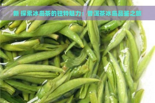 新 探索冰岛茶的独特魅力：普洱茶冰岛品鉴之旅