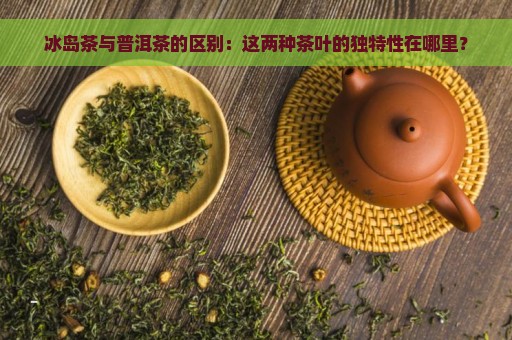 冰岛茶与普洱茶的区别：这两种茶叶的独特性在哪里？