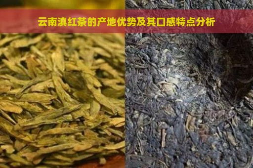 云南滇红茶的产地优势及其口感特点分析