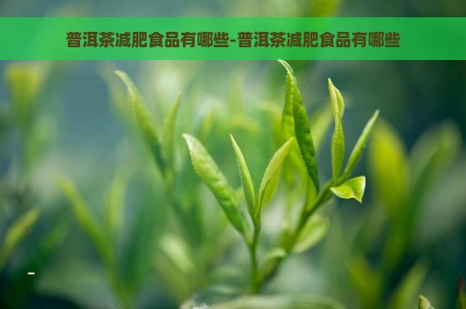 普洱茶减肥食品有哪些-普洱茶减肥食品有哪些