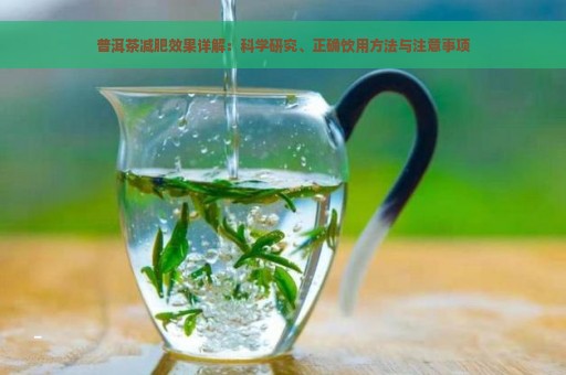 普洱茶减肥效果详解：科学研究、正确饮用方法与注意事项