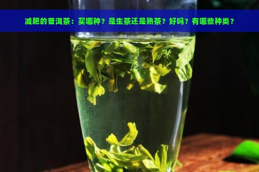 减肥的普洱茶：买哪种？是生茶还是熟茶？好吗？有哪些种类？