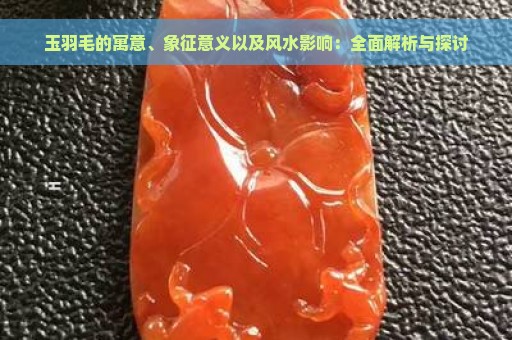 玉羽毛的寓意、象征意义以及风水影响：全面解析与探讨