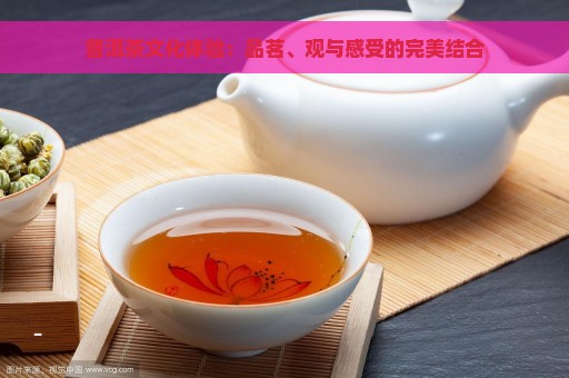 普洱茶文化体验：品茗、观与感受的完美结合