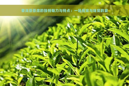 普洱茶茶席的独特魅力与特点：一场视觉与味觉的宴