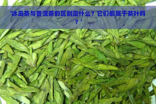 '冰岛茶与普洱茶的区别是什么？它们都属于茶叶吗？'