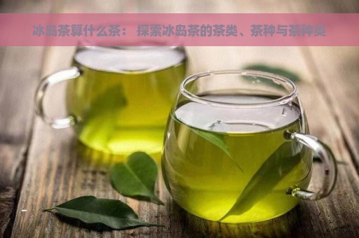 冰岛茶算什么茶： 探索冰岛茶的茶类、茶种与茶种类