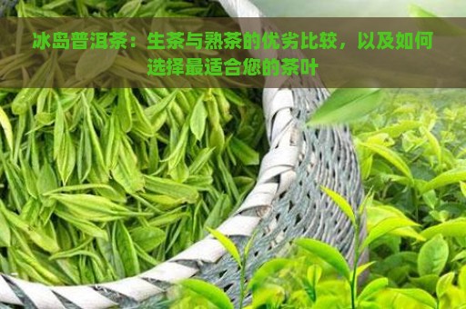 冰岛普洱茶：生茶与熟茶的优劣比较，以及如何选择最适合您的茶叶