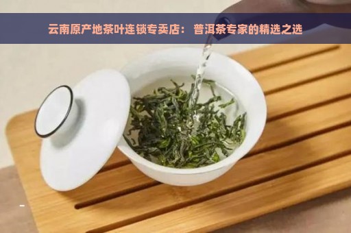 云南原产地茶叶连锁专卖店： 普洱茶专家的精选之选