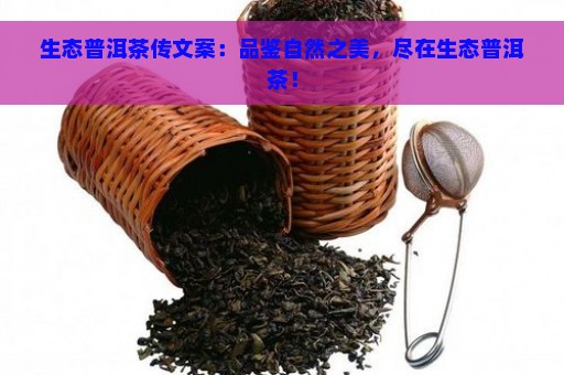 生态普洱茶传文案：品鉴自然之美，尽在生态普洱茶！