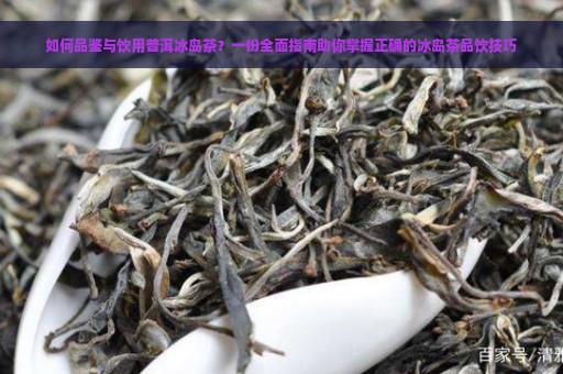 如何品鉴与饮用普洱冰岛茶？一份全面指南助你掌握正确的冰岛茶品饮技巧