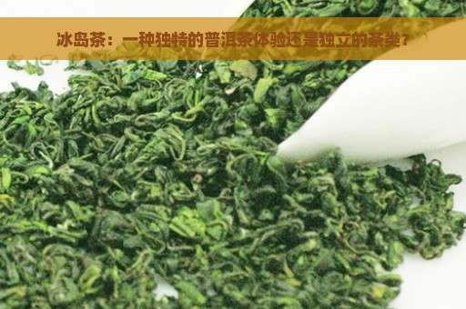 冰岛茶：一种独特的普洱茶体验还是独立的茶类？