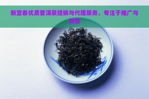 新宜春优质普洱茶经销与代理服务，专注于推广与销售