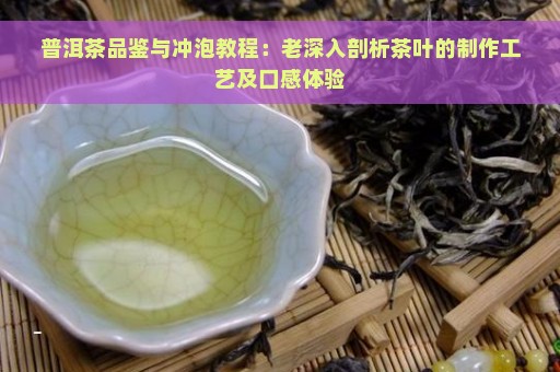 普洱茶品鉴与冲泡教程：老深入剖析茶叶的制作工艺及口感体验