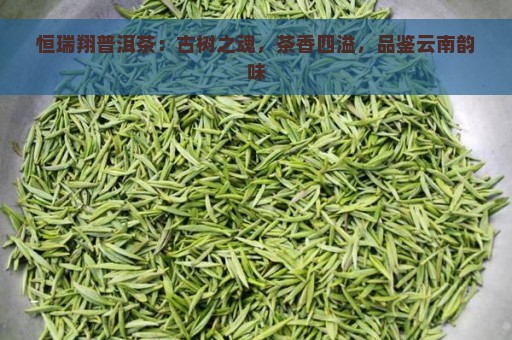 恒瑞翔普洱茶：古树之魂，茶香四溢，品鉴云南韵味